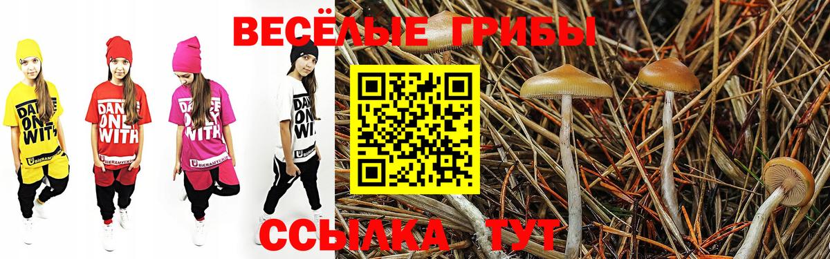 Галлюциногенные грибы GOLDEN TEACHER Джанкой